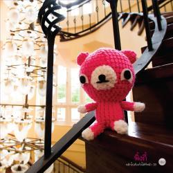 Pinky Bear
